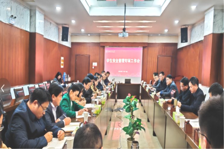 风险人妻丰满熟妇av无码区乱