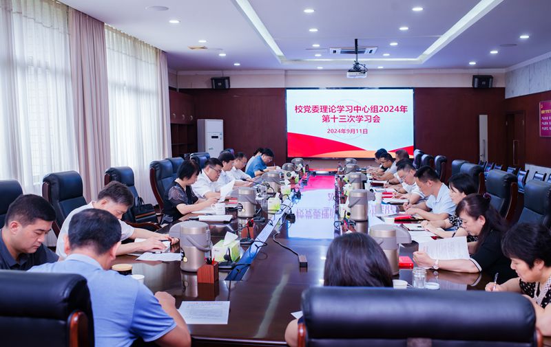 风险人妻丰满熟妇av无码区乱