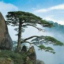 风险人妻丰满熟妇av无码区乱