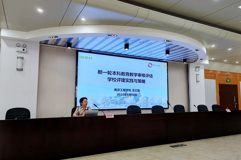 风险人妻丰满熟妇av无码区乱
