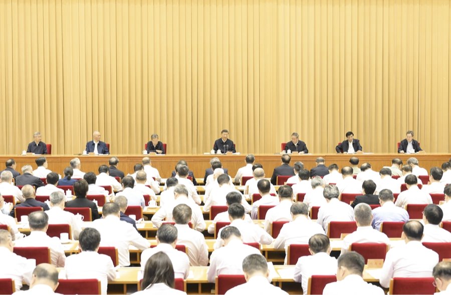 风险人妻丰满熟妇av无码区乱