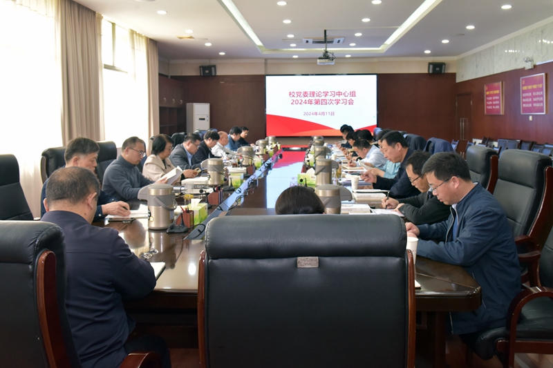 风险人妻丰满熟妇av无码区乱