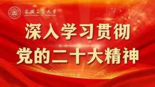 风险人妻丰满熟妇av无码区乱